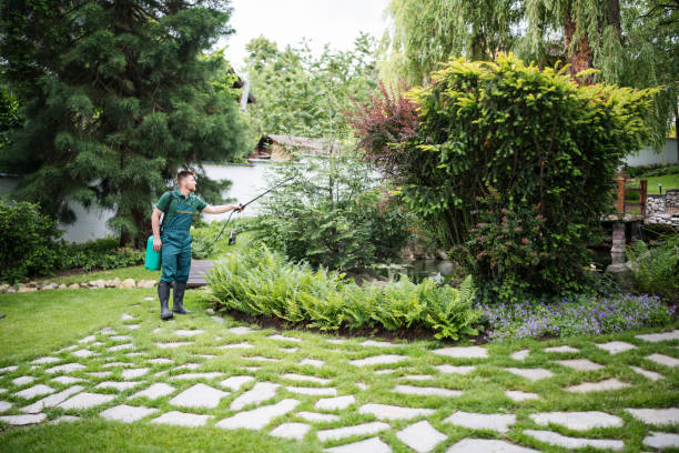 Best Best Pest Control Companies  in Louisville, GA