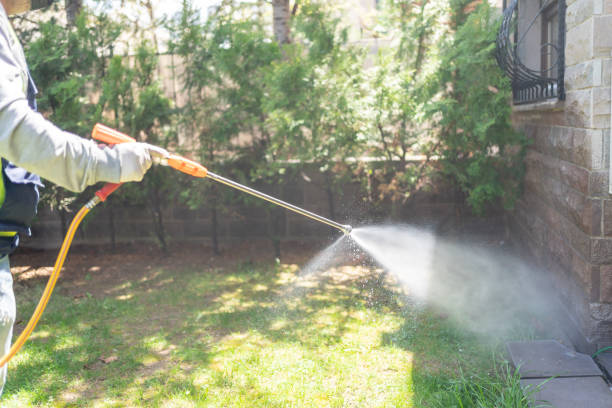 Best Flea Control Services  in Louisville, GA