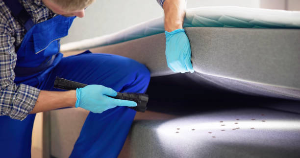 Pest Prevention Services in Louisville, GA