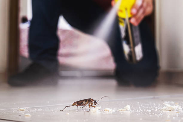 Best Exterminator Services  in Louisville, GA