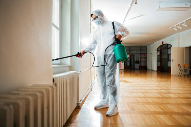 Best Wasp Removal Services  in Louisville, GA