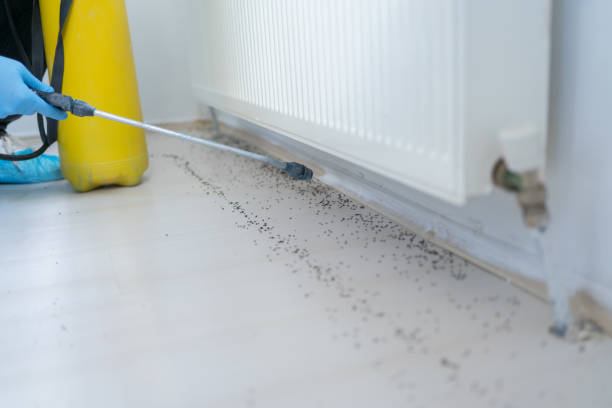Pest Control for Restaurants in Louisville, GA