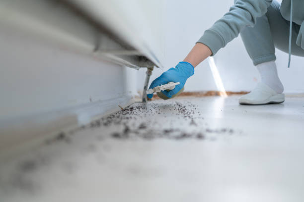 Best Pest Removal Services  in Louisville, GA
