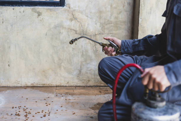 Best Local Pest Control Services  in Louisville, GA